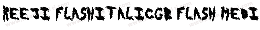 REEJI FlashItalicGB Flash Medium字体转换